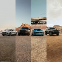Freedom of Choice Campaign